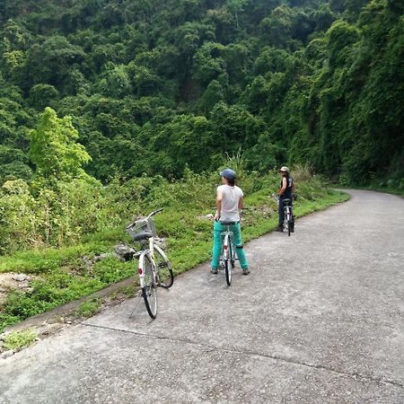 Anh Thuan Hotel 1 Cat Ba Island Buitenkant foto