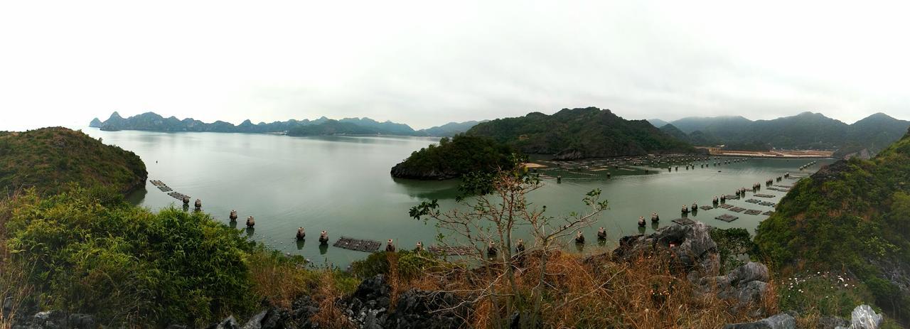 Anh Thuan Hotel 1 Cat Ba Island Buitenkant foto