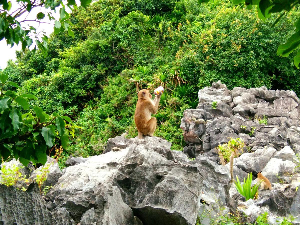 Anh Thuan Hotel 1 Cat Ba Island Buitenkant foto