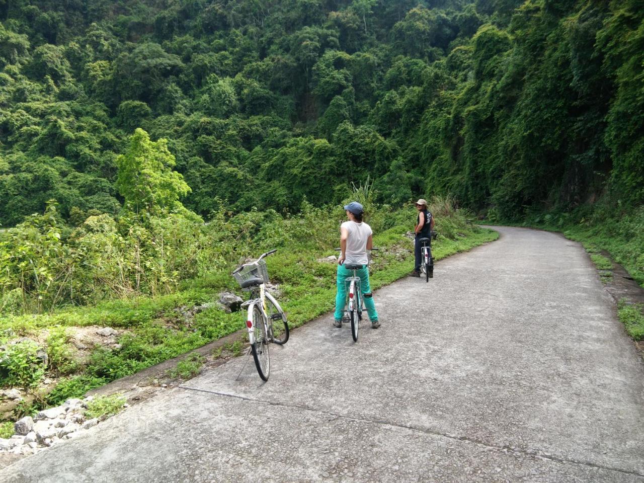 Anh Thuan Hotel 1 Cat Ba Island Buitenkant foto